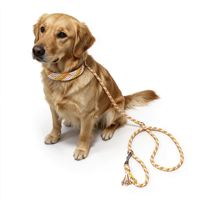 Conjunto de Correa y Collar de Lujo Personalizado para Perro, Cuerda Ajustable y Resistente, Multicolor, Tejido de Paracord, con Etiqueta de Nombre Personalizada