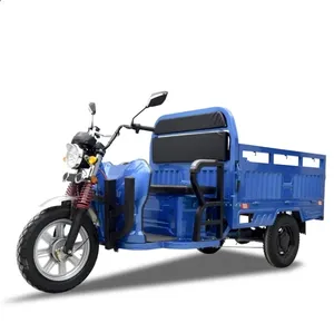 800W/1000W Tricycle Adult Electric Cargo Bike Trikes Electric Motorcycle 3 wheel big cargo tricycle