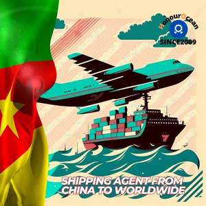 Agente de logística de transporte aéreo Ddp, Envío puerta a puerta desde <span class=keywords><strong>China</strong></span>, envío a Camerún, Costa de Marfil, Malawi - Product Image 1