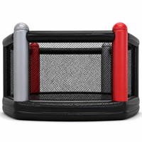 octágono de MMA