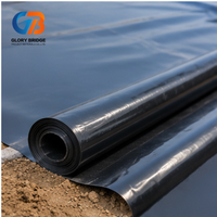 Membrane imperméable en HDPE, géomembrane noire en rouleau pour bassin à poissons, barrage, décharge, réservoir, parc, projets d'aménagement