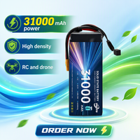 Batterie rechargeable prismatique Li-ion XINGTO 6S31Ah 460wh/kg pour drone agricole, pulvérisation, propulsion de cyclomoteur