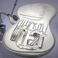 Ensemble d'instruments chirurgicaux pour rumenotomie pour chats/bovins/chevaux/chèvres, acier inoxydable allemand, CE ISO