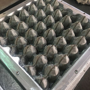 Molde de caja de huevos de última tecnología a buen precio - Product Image 4