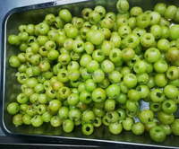 Noyau de prune industriel enlevant la découpeuse de piqûre