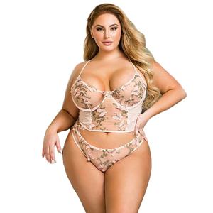 Custom Cc Sexy Bra & Brief Sets <span class=keywords><strong>Oh</strong></span> Yeah de alta calidad de encaje floral de malla Rosa erótico transparente de talla grande ropa interior de las mujeres - Product Image 1