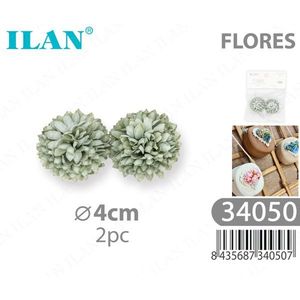 Teste di Fiori Secchi ILAN 4cm 2pz Per Uso Decorativo - Product Image 3
