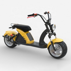 Moto électrique à roues en aluminium très vendue en France avec certificat EEC/COC, scooter électrique Citycoco avec pneus larges de 12 pouces - Product Image 1