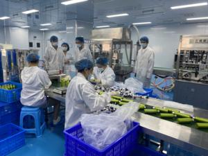 Crème <span class=keywords><strong>douche</strong></span> nettoyante douce non stimulante et <span class=keywords><strong>antiseptique</strong></span> - Product Image 5