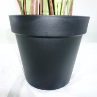 Palmier artificiel en PE, bonsaï, feuilles tropicales, 190 cm, résistant à l'eau, résistant aux UV, écologique, durable, vert, fête des mères