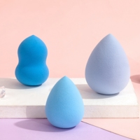 Vente chaude Marque Privée Maquillage Blender Voyage Portable Beauté Éponges Ensemble Fondation Sans Latex Éponge Pour Le Visage En Gros