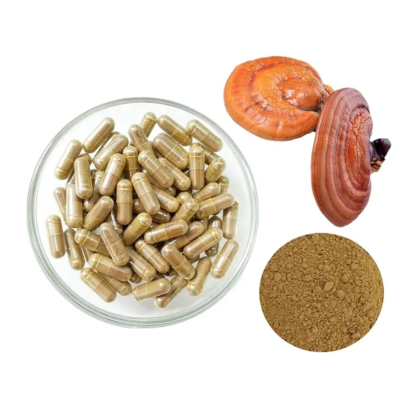 Suppléments à base de plantes chinoises, poudre de Ganoderma organique, Capsule herbe Reishi, extrait de champignon Lingzhi, pilules