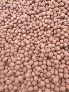 Keramik Ringan Leca Clay Pebbles Media Tanam Anggrek Akuaponik Akuakultur Hidroponik Bernapas Ukuran S/<span class=keywords><strong>M</strong></span>/L 2.5L - Product Image 3