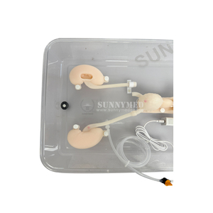 Simulador de Entrenamiento Ureteroscópico SY-NS12-1, Sistema Completo de Entrenamiento en Endoscopia Urológica para Estudiantes de Medicina - Product Image 4