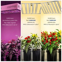 Livraison rapide élèvent la lumière samsung Lm301h les barres d'araignée à spectre complet à haute efficacité 800W led evo élèvent la lumière pour la plantation d'intérieur