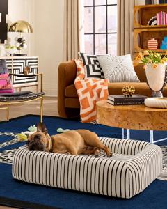 ओएम गंध पर्यावरण के अनुकूल चबाने वाले लक्जरी पालतू बिल्ली ऑर्थोपेडिक मेमोरी फोम कुत्ते बिस्तर के लिए कस्टम कुत्ते बेड वाटरप्रूफ हटाने योग्य कवर - Product Image 4