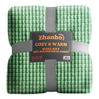 Couverture en polaire Teddy 100% polyester de luxe, 400 GSM, super douce, épaisse et chaude, motif quadrillé 3D, style européen-américain, pour toutes les saisons
