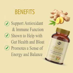 Cápsulas de Extracto de Jengibre OEM ODM, Raíz de Jengibre, Salud Intestinal, Digestión, Energía, Suplemento Dietético Vegano Sin GMO, Apoyo al Sistema Inmunológico - Product Image 3