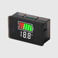 Voltmètre de batterie de voiture USB Type-C DC8-100V 4829, indicateur de niveau de charge, testeur de capacité de batterie au lithium, affichage LED