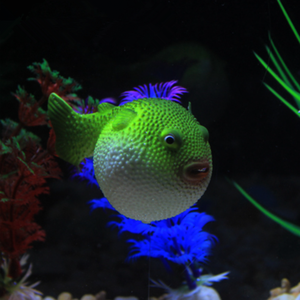 Kunstmatig Zwemaquarium <span class=keywords><strong>Plastic</strong></span> Vis - Product Image 6