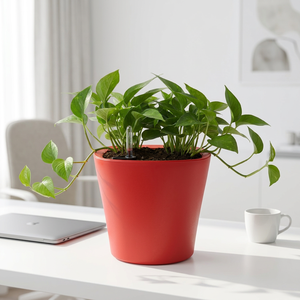 Pot de fleurs auto-arrosant moderne de couleur personnalisée pour plantes de bureau, en matériau PP, design minimaliste, petite taille - Product Image 1