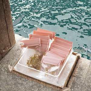 Sac de rangement pour bijoux, épaissi, anti-oxydation, étanche, en EVA, avec fermeture éclair auto-scellante, tendance, pour boucles d'oreilles, capacité 5-10L - Product Image 3