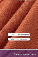 Ropa Interior Menstrual de Cintura Baja para Mujer, Talla Grande, para Recuperación de Cesárea, Posparto, con 4 Capas a Prueba de Fugas