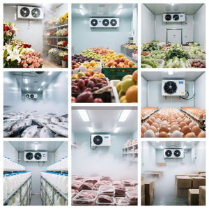 Cold Room Deep Freezer <b>Refrigerator</b> Portable Cold Room Solar Powered Cold Rooms Cold Storage Warehouse - Product Image 1