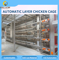 Vente en gros de cages automatiques pour poules pondeuses, équipement d'élevage avicole, vente directe d'usine, 90-160 oiseaux par cage, personnalisable