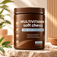 Multivitamin Anjing Grosir Rasa Daging Sapi, Suplemen Nutrisi Hewan Peliharaan untuk Perawatan Kulit dan Sendi