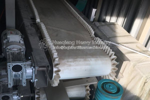 מסוע חגורה ניידת עבור קו ייצור דשן אורגני קש - Product Image 6