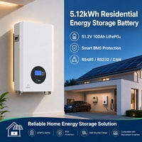 Batterie LiFePO4 murale 51,2 V 100 Ah 5,12 kWh pour système de stockage d'énergie solaire domestique