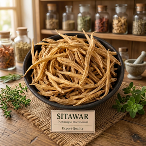 Raíz de Shatavari Premium | Ingrediente Herbal Ayurvédico Natural para Suplementos de Bienestar, Nutracéuticos y Suministro Global a Granel para Exportación - Product Image 3