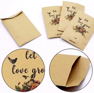 Custom Design Gedrukt Self Seal Milieuvriendelijk Gerecycleerd Kraftpapier Mini Kleine Zaden Saving Opbergtas Zaden Packet Enveloppen