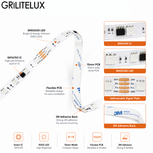 Digital Full Color <b>RGB</b> LED Strip SM16703 SMD5050 DC24V 60 LEDs/m 10 Pixels/m 10mm PCB 14.4W/m Segment <b>Control</b> for Signage - Product Image 4