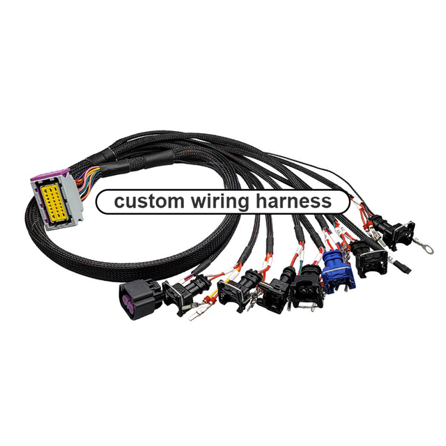 Custom tyco Amp Auto Ecu Connectors Iso Auto Wire Harness Assembly for Car 13841588