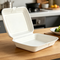 Boîte à lunch jetable en bagasse de 16 pouces avec couvercle, récipient alimentaire en canne à sucre biodégradable et micro-ondable pour restaurant et pique-nique