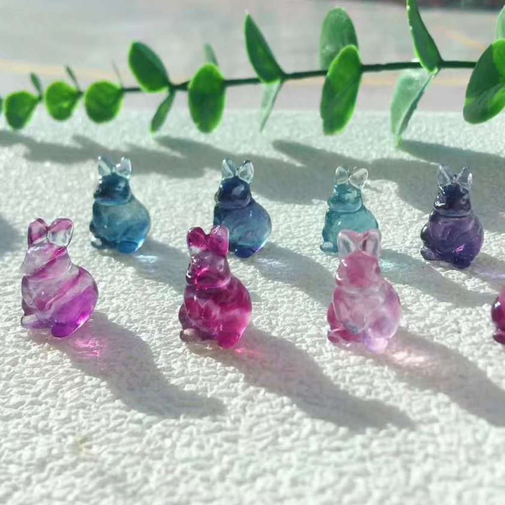 19 lapins