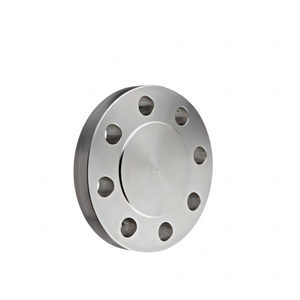 Dễ uốn sắt mù mặt bích Ống lửa mặt bích lớp 150/300 mặt phẳng tùy chọn - Product Image 6