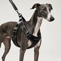 Harnais de luxe en cuir fait main pour chien, gilet pour lévrier italien, nouveaux produits 2026, accessoires pour animaux de compagnie