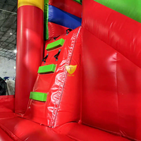 Toboggan aquatique gonflable pour adultes et enfants, combo château gonflable avec piscine, parc d'attractions géant en plein air, amusement estival
