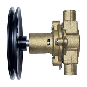 Nouvelle pompe à eau de mer brute RA057007 18830-0010 pour Marine 5.0 5.8 351 302 G20 G21 302 351 Haute Qualité - Product Image 4