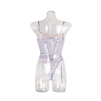 Ensemble de lingerie sexy érotique pour femmes, soutien-gorge en acier à armatures rétractables, dentelle transparente à l'avant, dos nu, ensemble de lingerie lavande