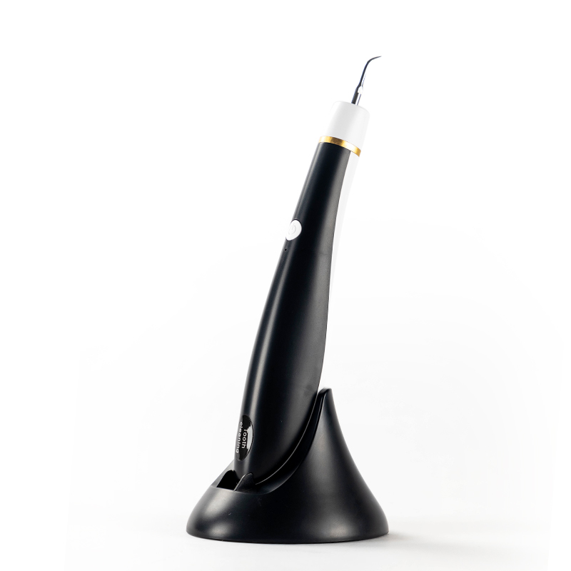 Домашнее использование зубов ультразвуковой скейлер Стоматологическая цена для отбеливания зубов