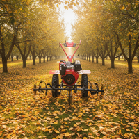Matériel agricole diesel : Motoculteur et désherbeur motorisé avec moteur diesel rouge