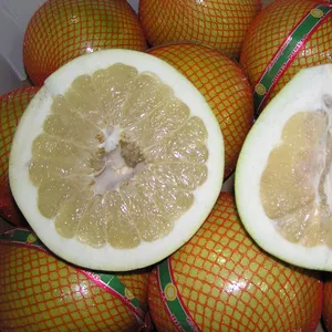ताजा अंगूर पोमेलो ताजा शहद पोमेलो निर्यात साइट्रस फल बिक्री के लिए ताजा पोमेलो निर्यात