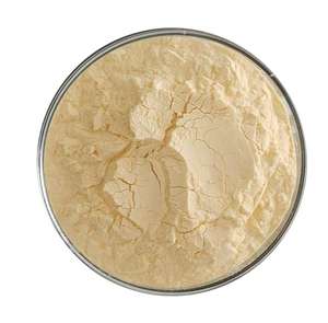 Pabrik Cina grosir bubuk ceri Acerola segar bubuk teh kesehatan kuning instan kandungan VC tinggi organik - Product Image 3