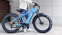Kit de vélo électrique à pneus gras avec moteur à moyeu sans engrenage 36v 48v 750w, écran LCD, batterie au lithium pour votre trajet à vélo