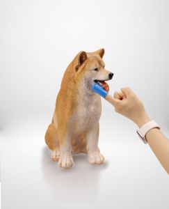 Pet Soft Pet Dedo <span class=keywords><strong>Toothbrush</strong></span>, Conveniente, fácil de usar, com cores diferentes - Product Image 1