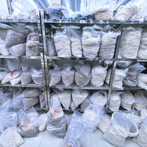 Ngọc trai nước ngọt tự nhiên làm đồ trang sức hình hạt gạo trắng, ngọc trai nước ngọt tự nhiên rời - Product Image 6